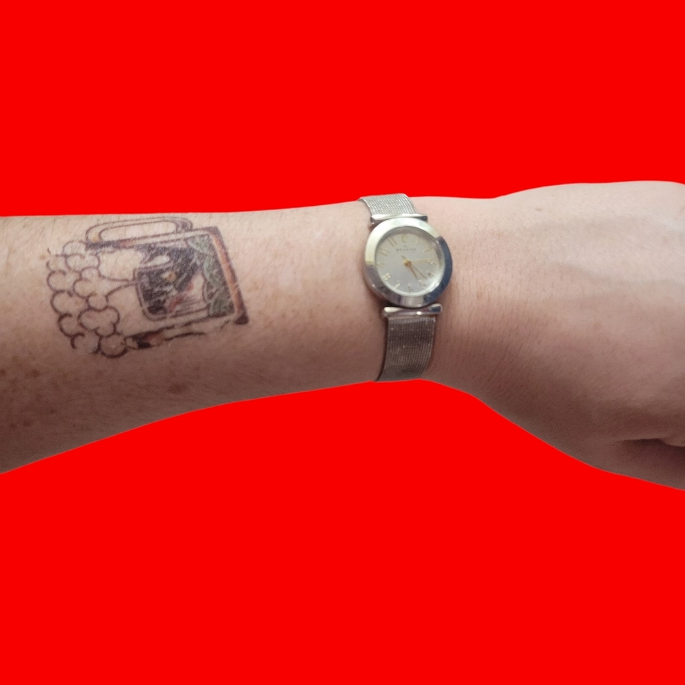 Skagen Denmark Watch